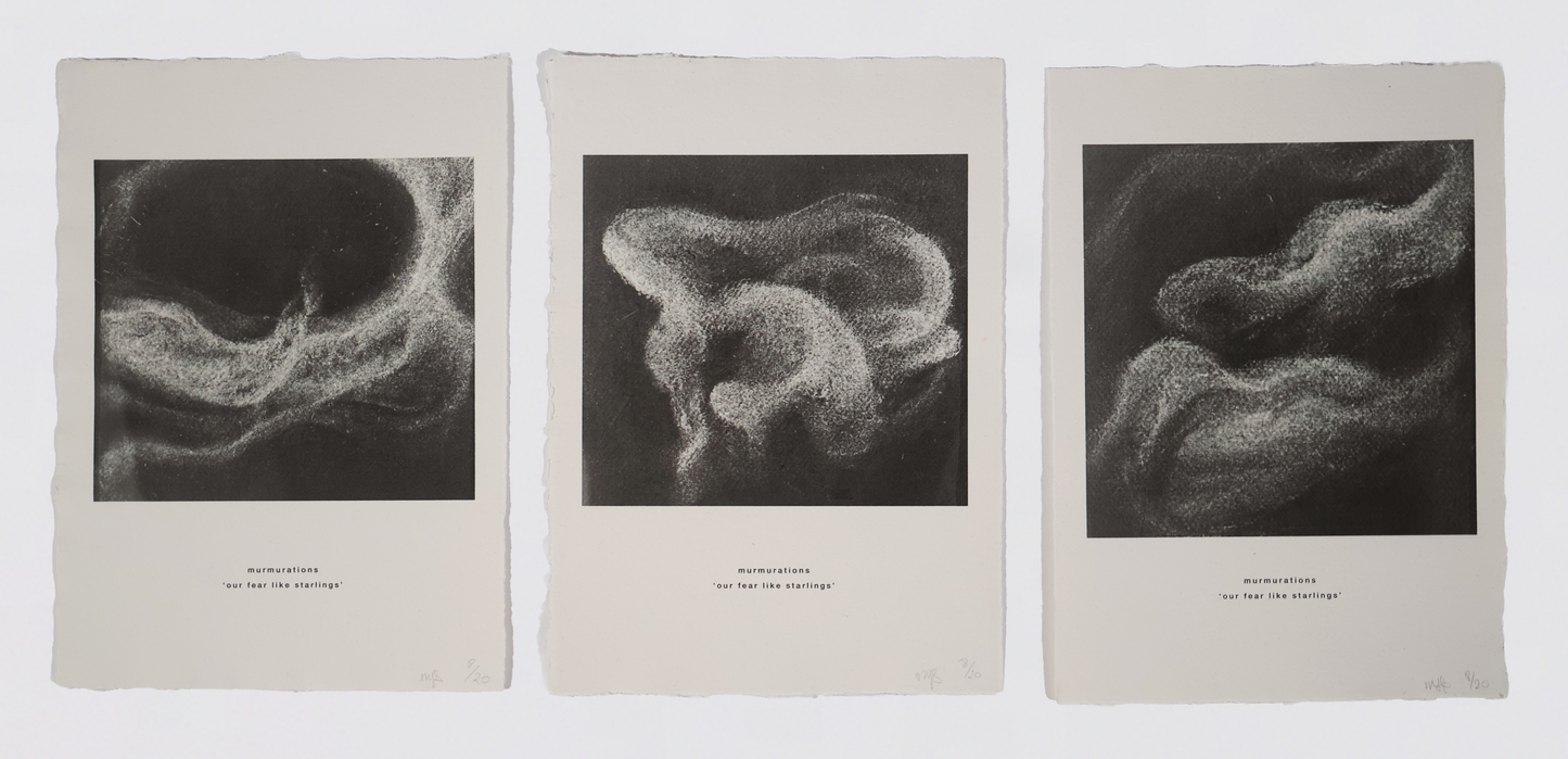 Murmurations Print Set