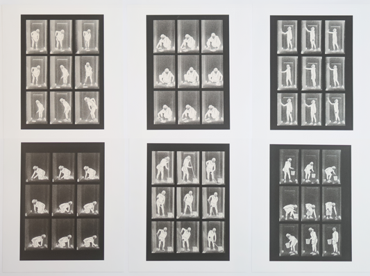 Domestic Edit Silk Screen Print Set of 6
